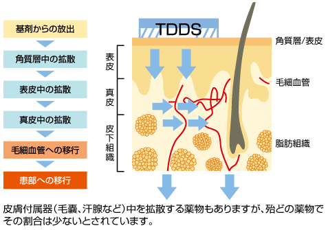 TDDS（経皮薬物送達システム）のしくみ