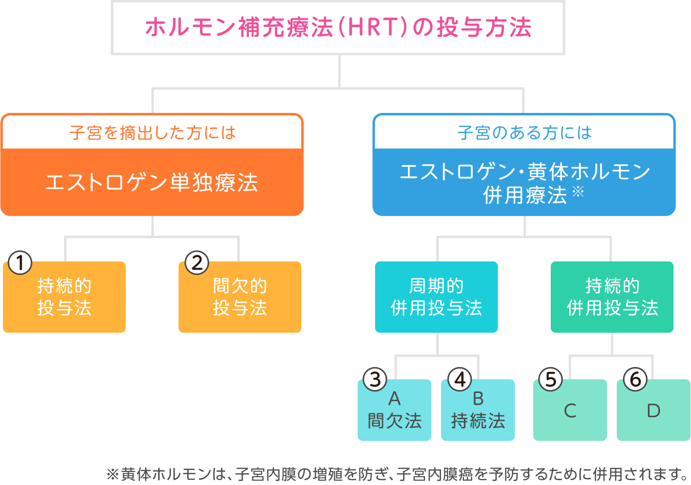 ホルモン補充療法（HRT）の投与方法 解説図