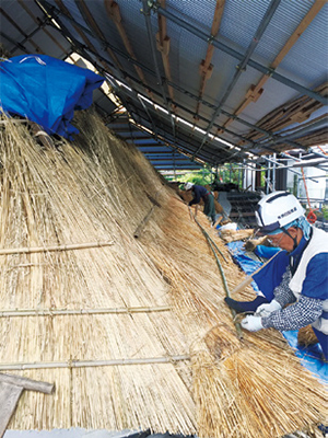 久野邸茅葺屋根葺き替え工事